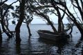 Property photo of 41 Inlet Drive Denmark WA 6333