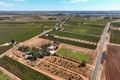 Property photo of 267 Gaskell Road Barmera SA 5345