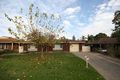 Property photo of 7 Audley Court Fullarton SA 5063