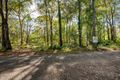 Property photo of 53 Kennedy Avenue Russell Island QLD 4184