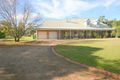 Property photo of 167 Vincent Road Cranebrook NSW 2749