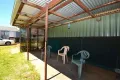 Property photo of 16 Marne Street Guyra NSW 2365