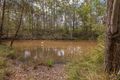 Property photo of 256 Young Road North Deep Creek QLD 4570