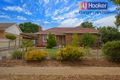 Property photo of 12 Counter Road Elizabeth Downs SA 5113