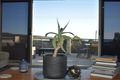 Property photo of 106 Main Road Binalong Bay TAS 7216