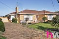Property photo of 49 Buckingham Road Newtown VIC 3220
