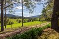 Property photo of 135 Helliwells Road Missabotti NSW 2449