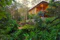 Property photo of 425 Wilson Road Tanawha QLD 4556