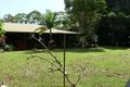 Property photo of 585 Pearces Creek Road Alstonvale NSW 2477