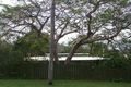 Property photo of 15 Belsize Street Kenmore QLD 4069
