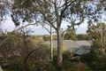 Property photo of 10 Hoggs Road Mitcham SA 5062