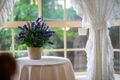 Property photo of 6 Hythe Place Glen Alpine NSW 2560