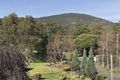 Property photo of 10 Aileen Avenue Montrose VIC 3765