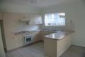 Property photo of 37 Parker Avenue Northgate QLD 4013