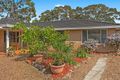 Property photo of 49 Camellia Circle Woy Woy NSW 2256