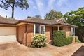 Property photo of 4/16-18 Fourth Avenue Lane Cove NSW 2066