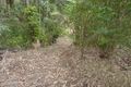 Property photo of 20 Zingelmann Road Wondecla QLD 4887