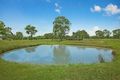Property photo of 289 Mill Lane Quorrobolong NSW 2325