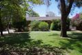 Property photo of 31 Boundary Street Wee Waa NSW 2388