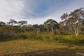 Property photo of 9 Callistemon Avenue Hill Top NSW 2575