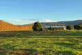 Property photo of 5985 New England Highway Blandford NSW 2338