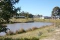 Property photo of 12 Black Wallaby Drive Langwarrin VIC 3910