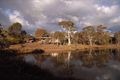 Property photo of 66 Canning Close Wamboin NSW 2620