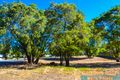 Property photo of 22 Meerup Street Northcliffe WA 6262