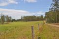 Property photo of 93 Johnsons Road Collombatti NSW 2440