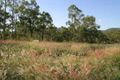 Property photo of 395 George Holt Drive Mount Crosby QLD 4306