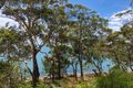 Property photo of 42 Randall Drive Salamander Bay NSW 2317