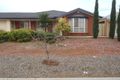 Property photo of 6 Admiralty Circuit Smithfield SA 5114