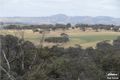 Property photo of 11 Old Sturt Highway Daveyston SA 5355
