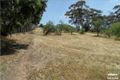Property photo of 11 Old Sturt Highway Daveyston SA 5355