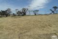 Property photo of 11 Old Sturt Highway Daveyston SA 5355