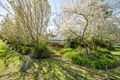 Property photo of 1446 Burrows Road Lavington NSW 2641