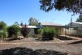 Property photo of 3 Morris Street Loveday SA 5345