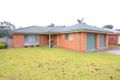 Property photo of 14 Sorrel Court Baranduda VIC 3691