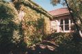 Property photo of 8 Helston Street Balwyn North VIC 3104