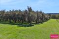 Property photo of 495 Back Kootingal Road Nemingha NSW 2340