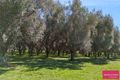 Property photo of 495 Back Kootingal Road Nemingha NSW 2340