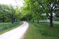Property photo of 172 Gap Road Riddells Creek VIC 3431