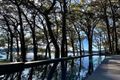 Property photo of 4 Como Parade Pretty Beach NSW 2257