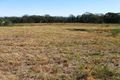 Property photo of 180 Minerva Road Wedderburn NSW 2560