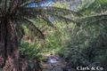 Property photo of 5170 Mansfield-Woods Point Road Kevington VIC 3723