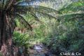 Property photo of 5170 Mansfield-Woods Point Road Kevington VIC 3723