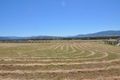 Property photo of 8 Ibis Place Scone NSW 2337