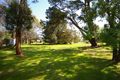 Property photo of 21 Hurley Court Balnarring VIC 3926