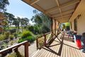 Property photo of 28 Factory Road Kalangadoo SA 5278