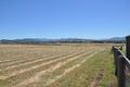 Property photo of 8 Ibis Place Scone NSW 2337